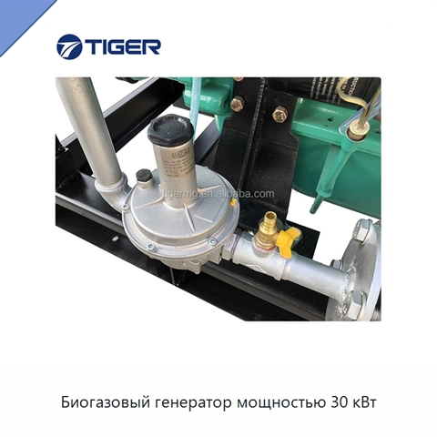 Биогазовый генератор мощностью 30 кВт
