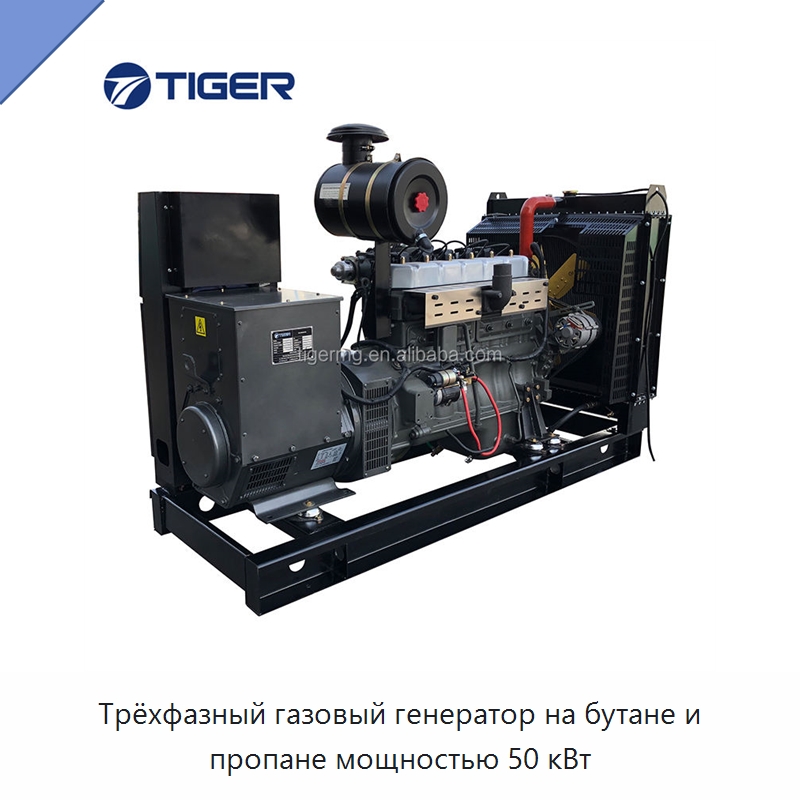 Трёхфазный газовый генератор на бутане и пропане мощностью 50 кВт — Газотурбинные генераторы