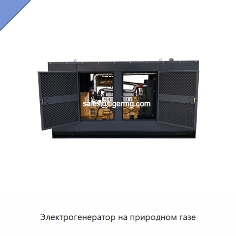 Электрогенератор на природном газе