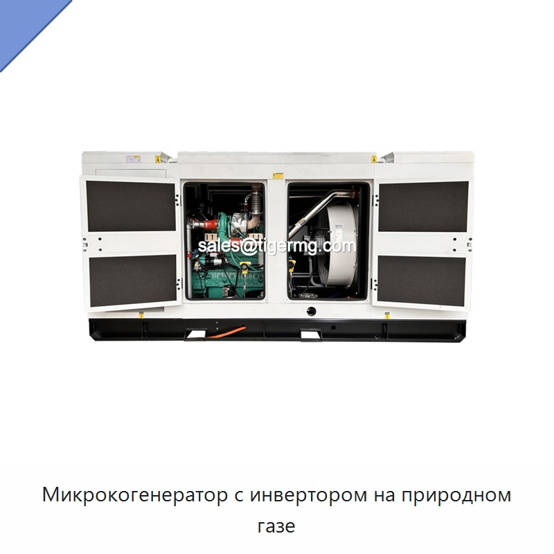 Микрокогенератор с инвертором на природном газе — Газотурбинные генераторы