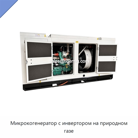 Микрокогенератор с инвертором на природном газе