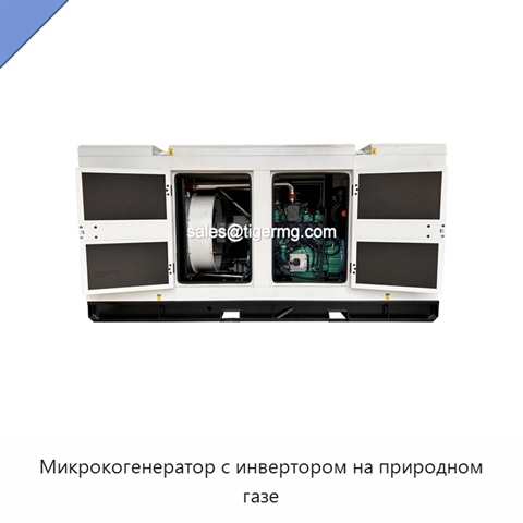 Микрокогенератор с инвертором на природном газе