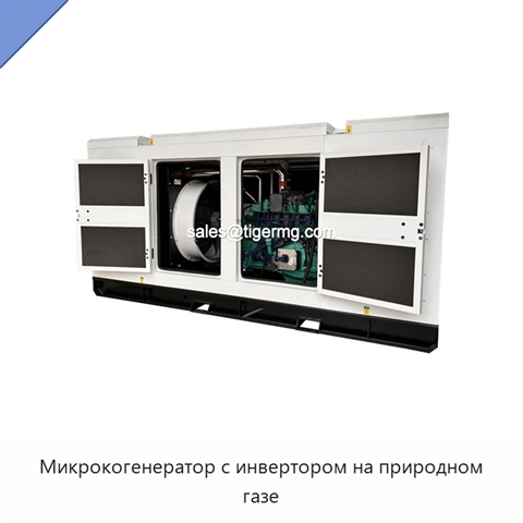 Микрокогенератор с инвертором на природном газе