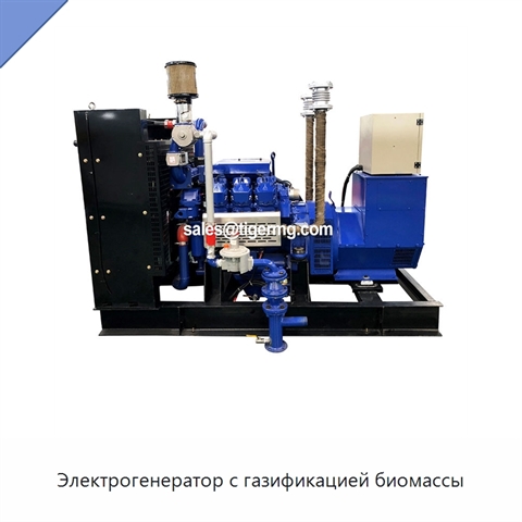 Электрогенератор с газификацией биомассы