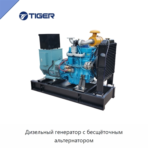 Дизельный генератор с бесщёточным альтернатором