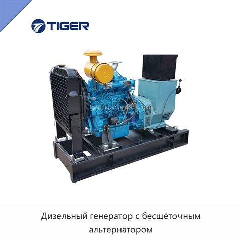 Дизельный генератор с бесщёточным альтернатором