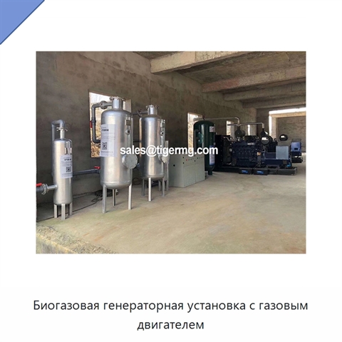 Биогазовая генераторная установка с газовым двигателем