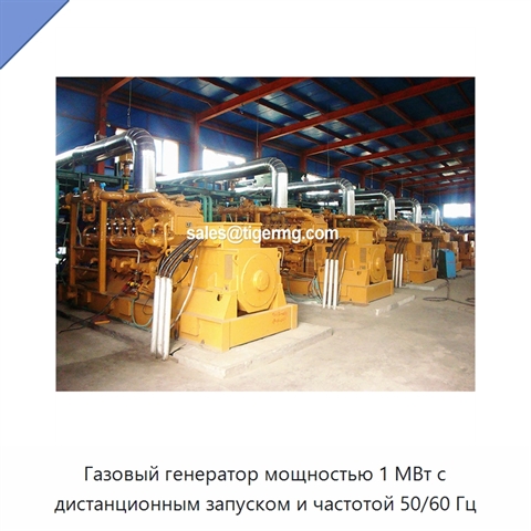Газовый генератор мощностью 1 МВт с дистанционным запуском и частотой 50/60 Гц