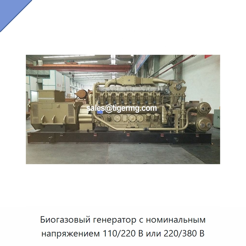 Биогазовый генератор с номинальным напряжением 110/220 В или 220/380 В — Газотурбинные генераторы