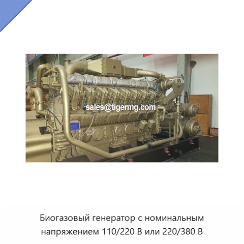 Биогазовый генератор с номинальным напряжением 110/220 В или 220/380 В