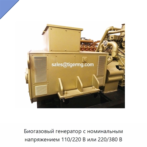 Биогазовый генератор с номинальным напряжением 110/220 В или 220/380 В
