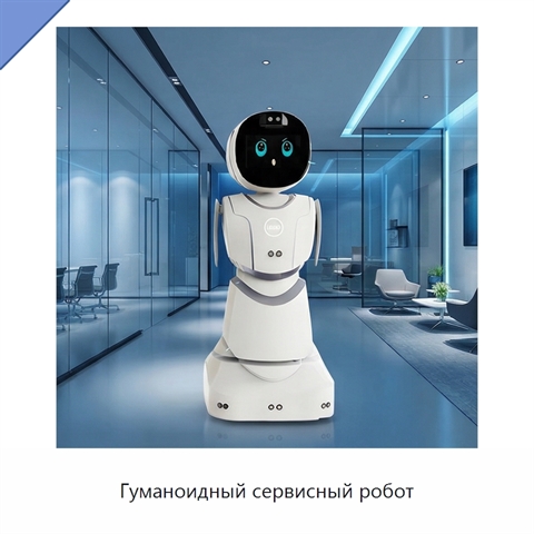 Гуманоидный сервисный робот