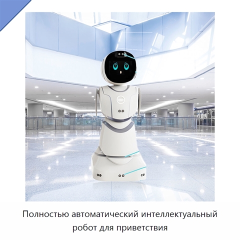 Полностью автоматический интеллектуальный робот для приветствия