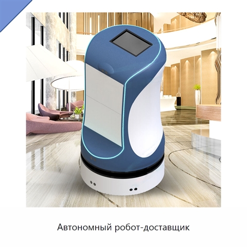 Автономный робот-доставщик