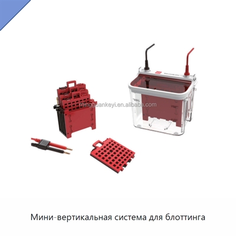 Мини-вертикальная система для блоттинга