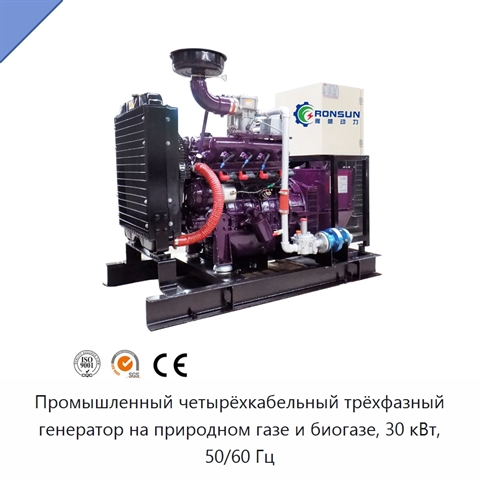 Промышленный четырёхкабельный трёхфазный генератор на природном газе и биогазе, 30 кВт, 50/60 Гц