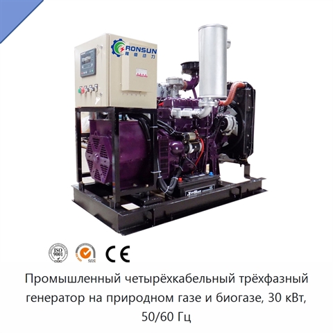 Промышленный четырёхкабельный трёхфазный генератор на природном газе и биогазе, 30 кВт, 50/60 Гц