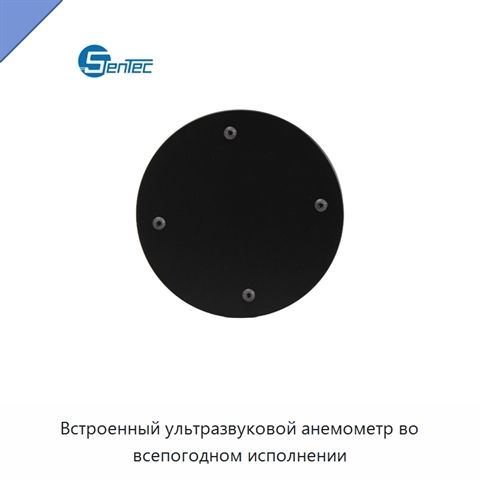 Встроенный ультразвуковой анемометр во всепогодном исполнении