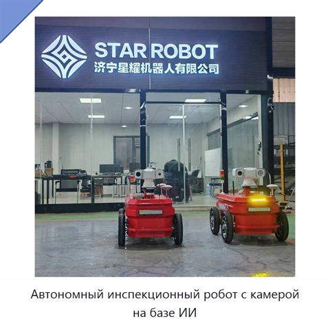 Автономный инспекционный робот с камерой на базе ИИ