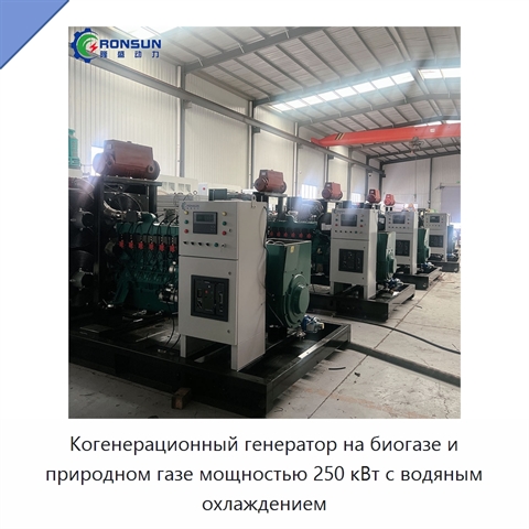 Когенерационный генератор на биогазе и природном газе мощностью 250 кВт с водяным охлаждением
