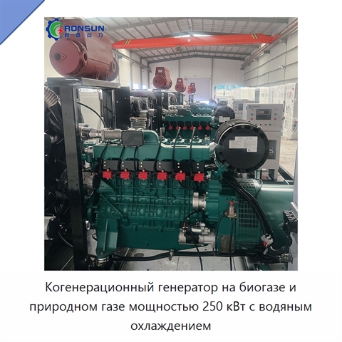 Когенерационный генератор на биогазе и природном газе мощностью 250 кВт с водяным охлаждением