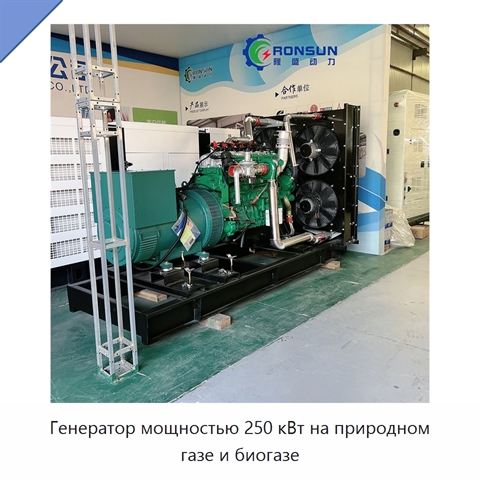 Генератор мощностью 250 кВт на природном газе и биогазе