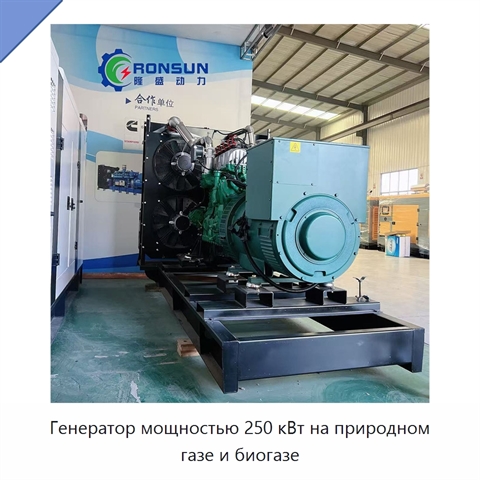 Генератор мощностью 250 кВт на природном газе и биогазе
