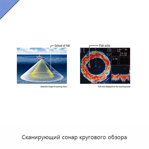 Сканирующий сонар кругового обзора