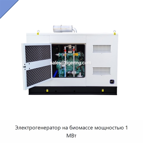 Электрогенератор на биомассе мощностью 1 МВт