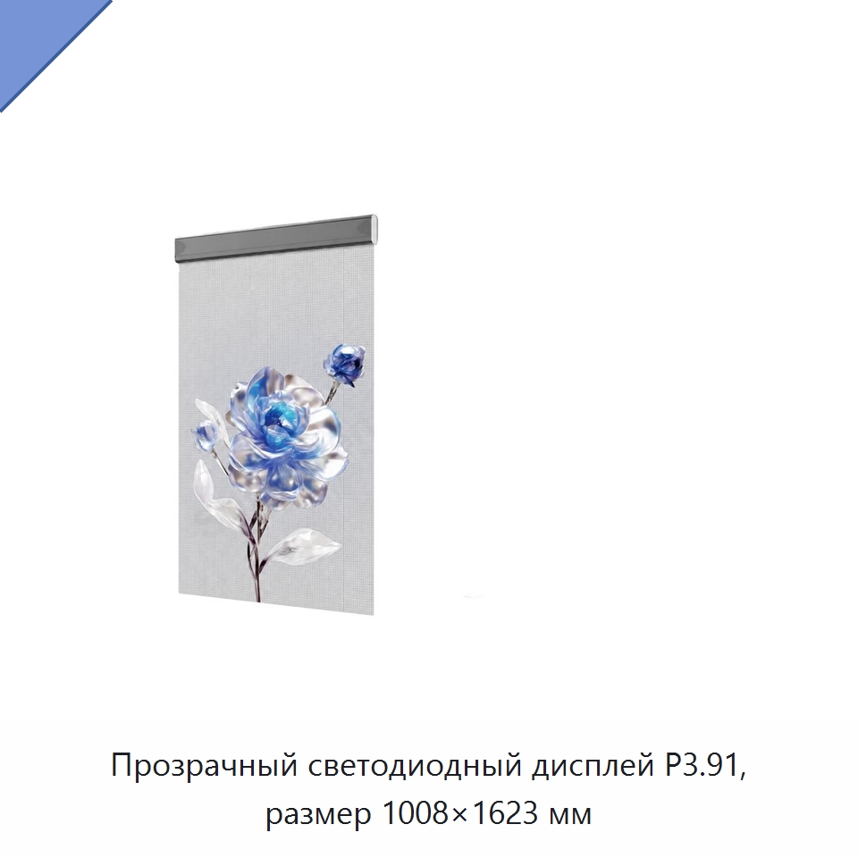 Прозрачный светодиодный дисплей P3.91, размер 1008×1623 мм — Светодиодные дисплеи