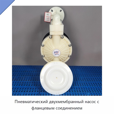 Пневматический двухмембранный насос с фланцевым соединением